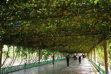 《机战少女Alice：模拟协奏曲》9月8日登陆日本主机